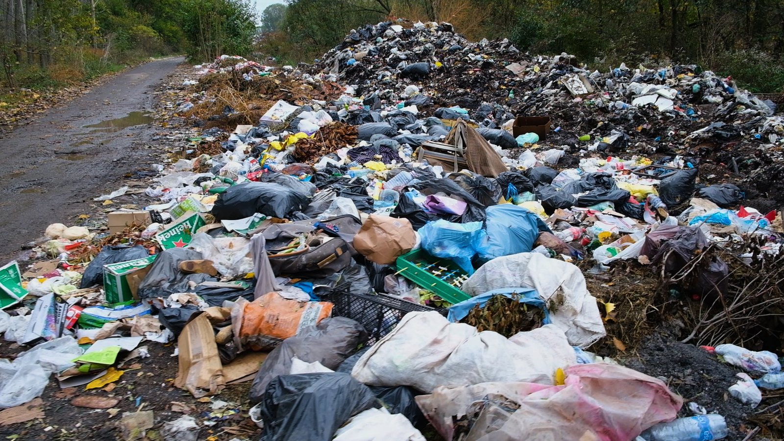 Мењамо Заједно